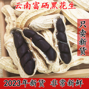 富硒黑花生带壳2023新货云南普洱非种子籽晒干生熟黑皮黑花生米