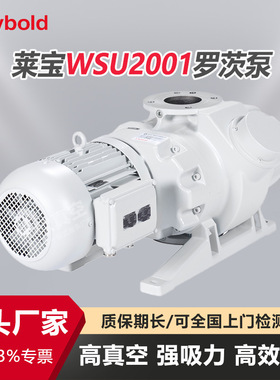 现货德国莱宝RUVAC WSU2001罗茨真空泵高抽速low-e镀膜单晶硅化工