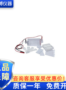 厂家直供 六一琼脂糖 DYCP-31DN  电泳电源 垂直电泳 水平电泳槽