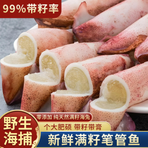 海兔子满籽笔管鱼全带籽籽乌贼小八爪鱿鱼新鲜冷冻墨鱼仔顺丰包邮
