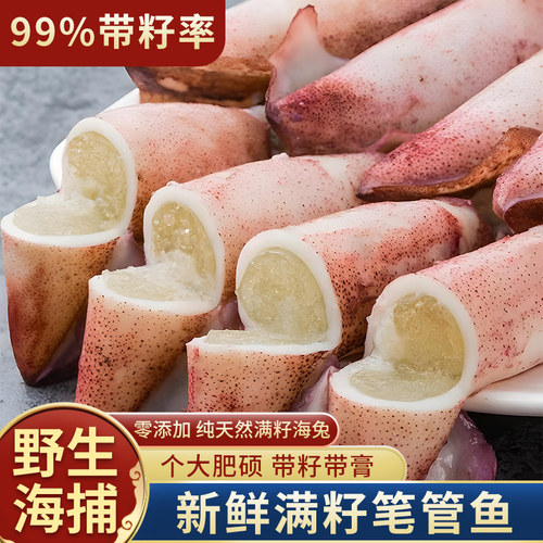 精挑海兔子只只带籽满膏笔管鱼