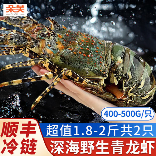 生冻小青龙龙虾新鲜冷冻海捕龙虾