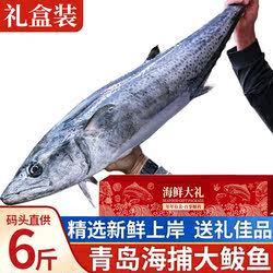 青岛大鲅鱼礼盒鲐鲅鱼新鲜冷冻整条马鲛鱼非黄金鲅鱼年货过年送礼