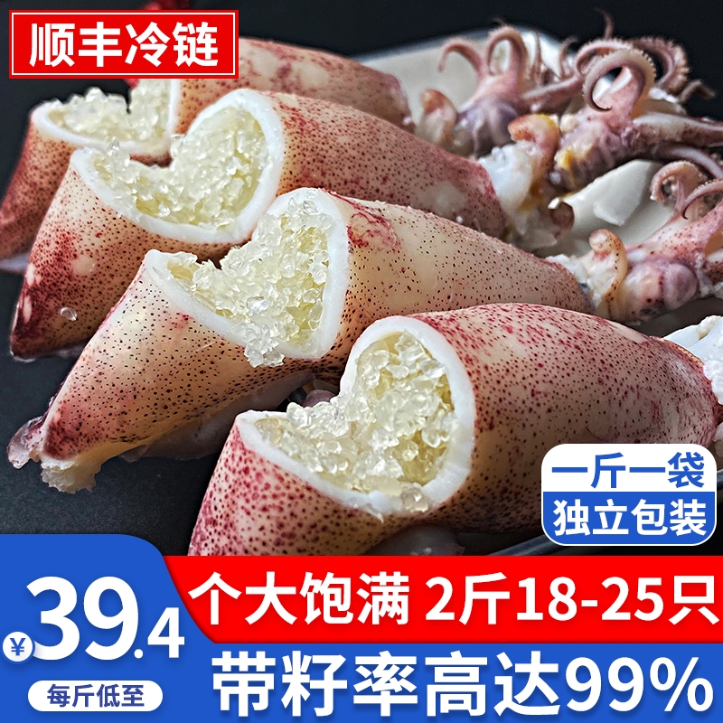 满籽笔管鱼带籽海兔子