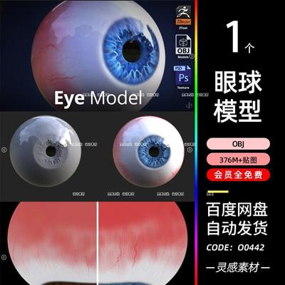 C4D眼球眼睛高精度模型3d渲染obj素材zb建模zbrush源文件ztl设计