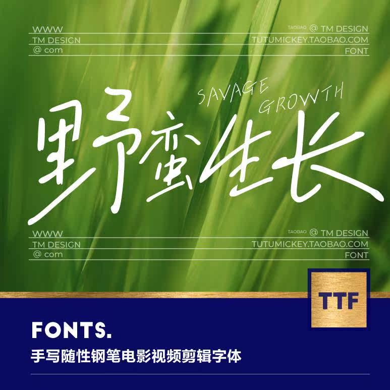 1款随性大气手写钢笔中文电影视频字体procreate ps pr电脑字体包高性价比高么？