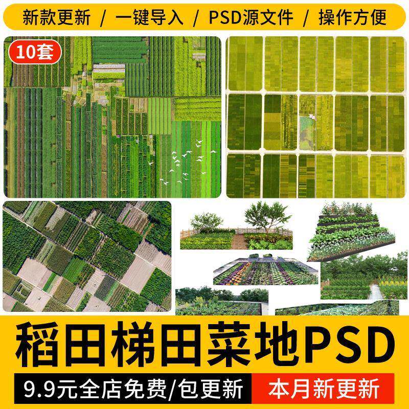 乡村稻田梯田菜地贴图ps素材psd免扣田园景观农田平面鸟瞰效果图