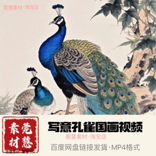 阎老师孔雀国画216节网课视频素材