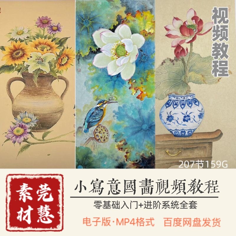 现代风格国画花鸟专项视频217节百度网盘发货自学视频素材