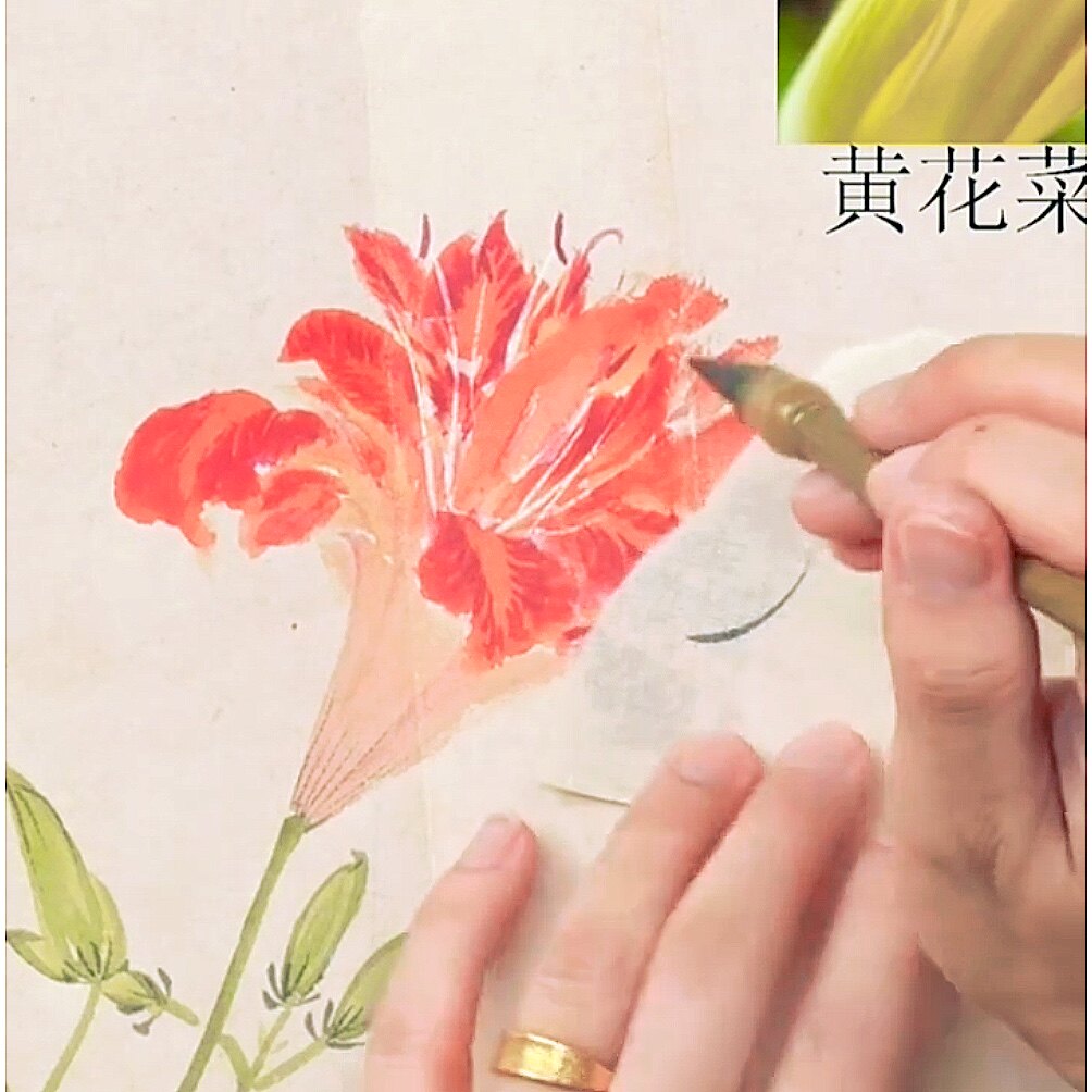 2026马老师写意花卉精讲 周之冕《百花图卷》抖音同款