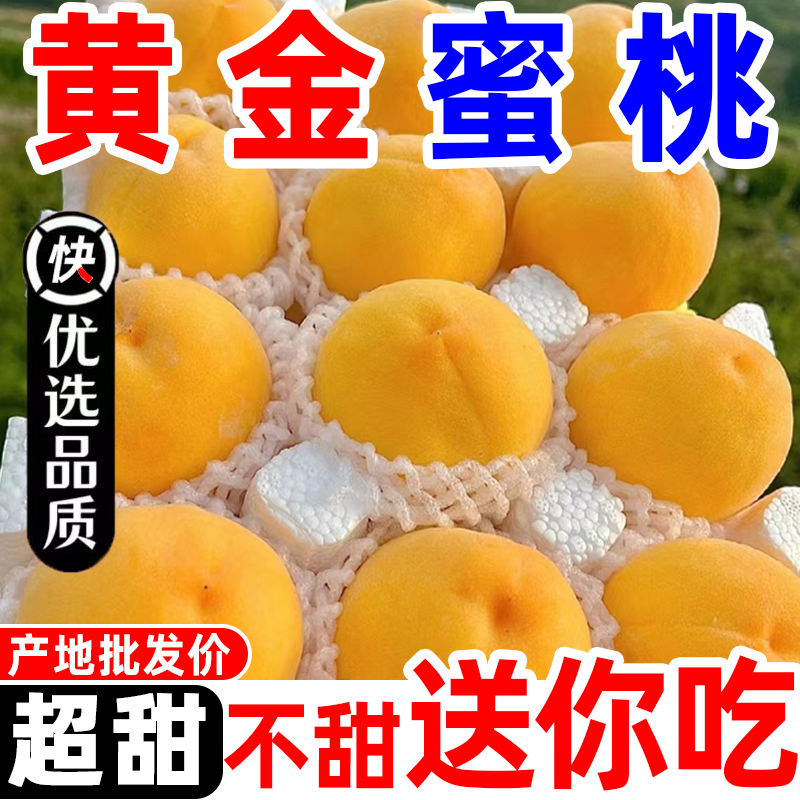 【现摘现发】纯甜黄桃金大黄桃子软脆甜应季新鲜水果桃正宗黄金蜜