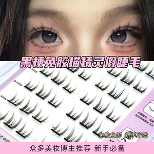 假睫毛免胶猫精灵新手嫁接单簇分段式向阳花自然款仿真三部曲锦瞳