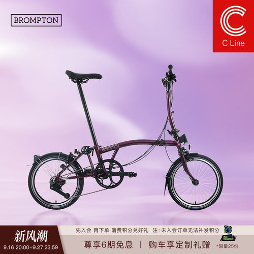 小布折叠自行车4速流光紫清漆