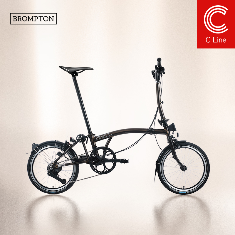 小布折叠自行车12速清漆