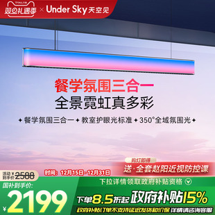 Undersky天空见CE1餐厅吊灯饭厅新款 高级感餐桌艺术一字吧台吊灯