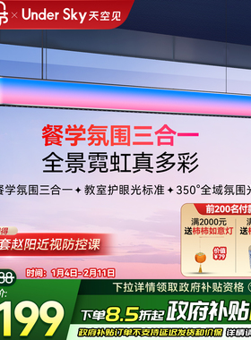 Undersky天空见CE1餐厅吊灯饭厅新款高级感餐桌艺术一字吧台吊灯