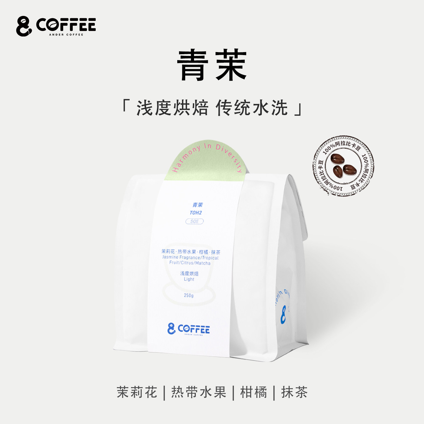 青茉 花果 抹茶风味 中酸 手冲咖啡豆 SOE浅度新鲜烘焙 埃塞水洗