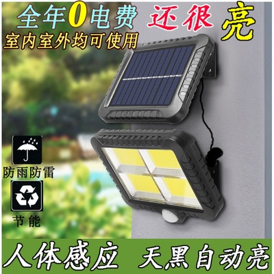太阳能庭院灯人体声控感应户外路灯室内室外农村厕所家用照明壁灯