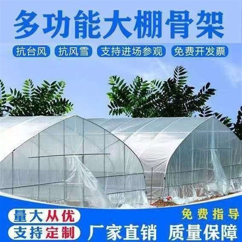 热销种植大棚大棚骨架养殖大棚鸡棚养猪棚蔬M菜大棚花卉棚温室大