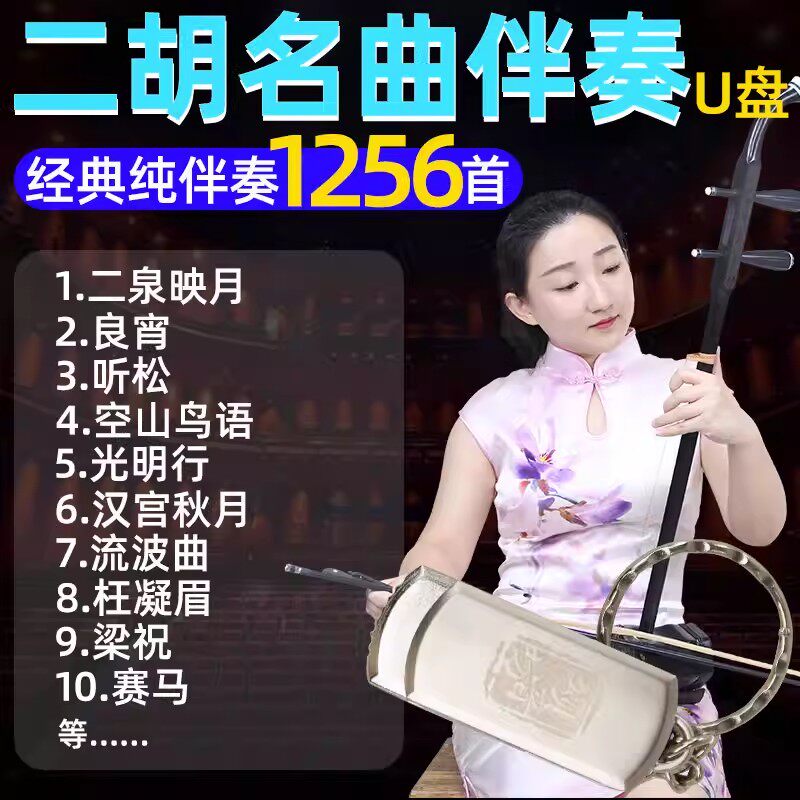 二胡伴奏歌曲U盘8G中老年爱好者用无损高音质纯音乐优盘