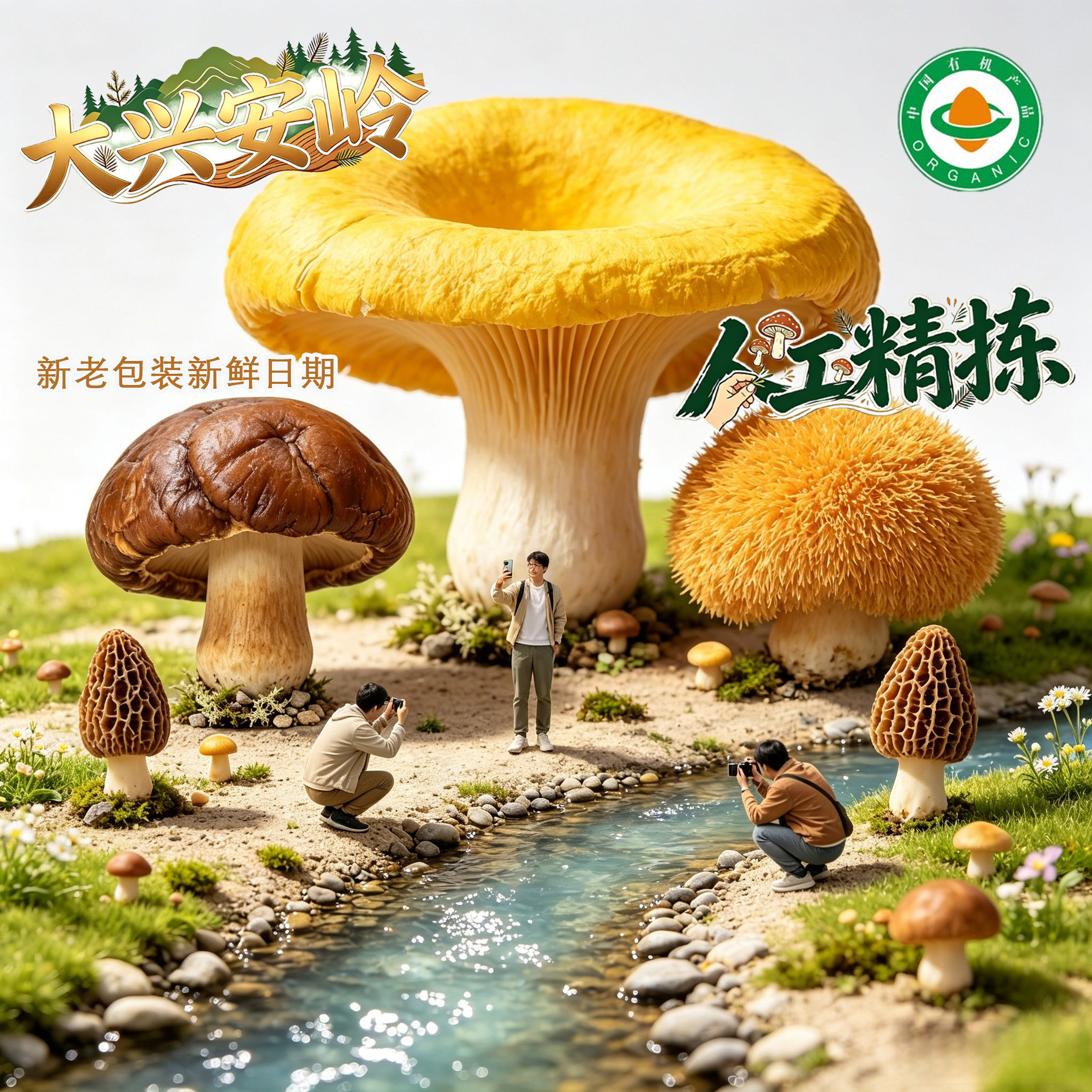 【包邮】大兴安岭有机羊肚菌榆黄菇干菌菇精品小香菇菌类臻品礼盒
