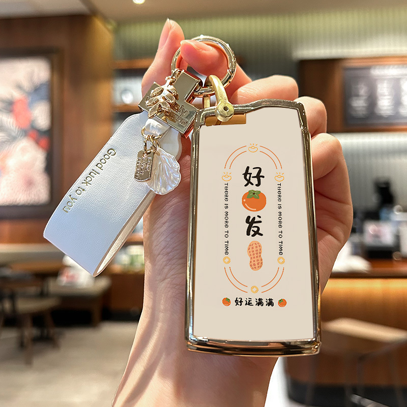 星途凌云好柿发生钥匙套