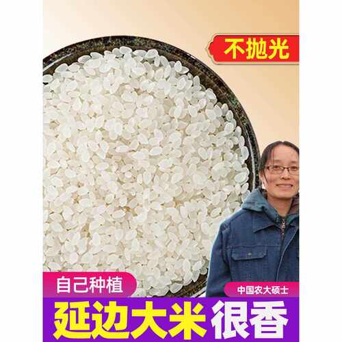 新疆包邮延边大米东北朝鲜族新米农家不抛光圆粒香米真空50斤吉林