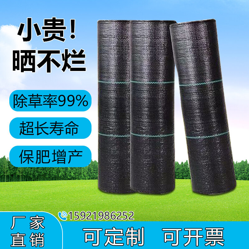 新型生态遮草布加厚果树除草膜黑色地膜地布防草布除草布果园农用,鲜花速递/花卉仿真/绿植园艺,其它园艺用品,淘宝优惠券,粉丝福利购,淘宝优惠卷