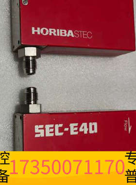 华泰HORIBA STECSEC-E40气体流量计2台，