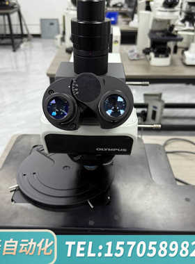 华泰奥林巴斯MX61L金相显微镜，带12寸大型载物台，新