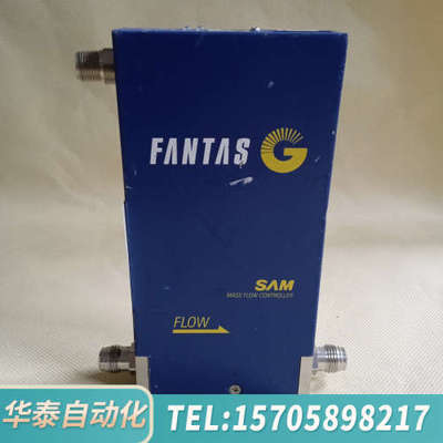 华泰SAM FANTAS流量计2482G1