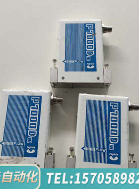 华泰Fujikin金P7000D流量计FCSP7202D