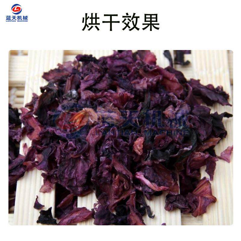 紫蓝紫菜烘干机 LT-ZGL空气包能脱水甘蓝干燥机 高菜包心菜甘烘丽,机械设备,干燥机/干燥箱/烘干机,淘宝优惠券,粉丝福利购,淘宝优惠卷