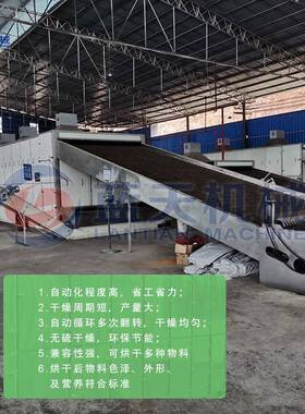 全自动鸡肠烘干LT-JCJ机带带 大型式鸡材肠子干燥设备 智能网中药