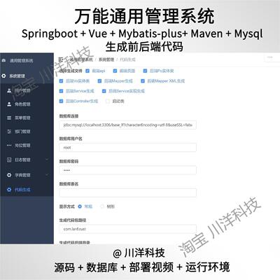 springboot vue后台通用管理系统Java源码部署视频