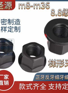 T12*3TR16*4TR18*4TR20*3*4TR24*4*5T28*5T30*6T36*6梯形带垫螺母