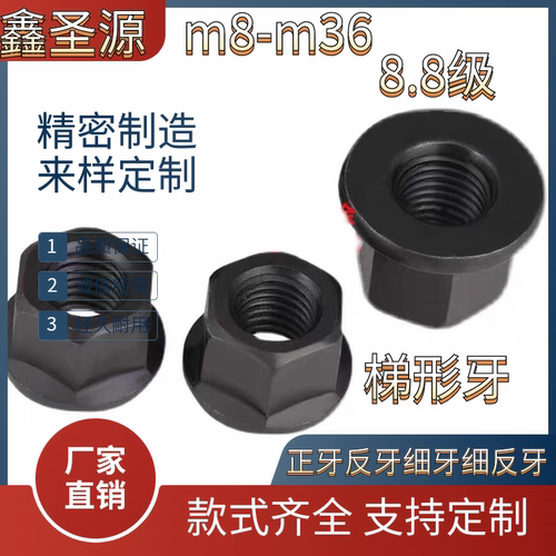 T12*3TR16*4梯形带垫螺母