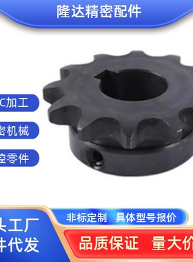 SP25B17/SP25B18/SP25B19/SP25B20/SP25B21-N-10/12链轮