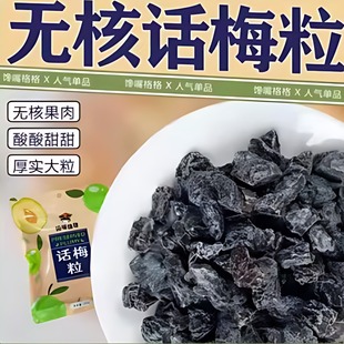 正品 话梅肉果干蜜饯休闲解馋网红零食 馋嘴格格无核话梅粒抖音同款