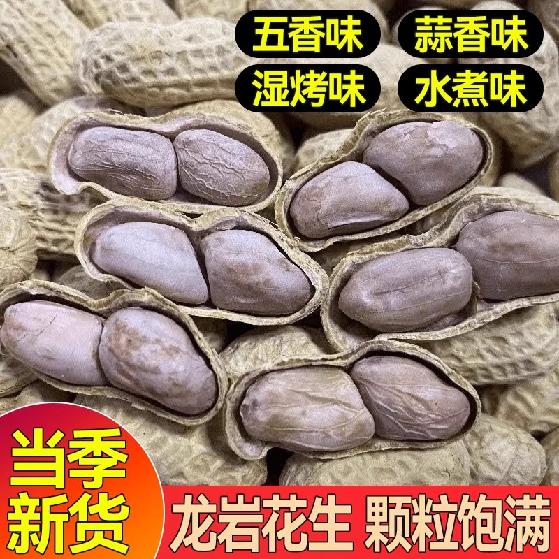 龙岩花生蒜香五香水煮白晒湿烤咸干花生米带壳炒货熟小吃零食晒干