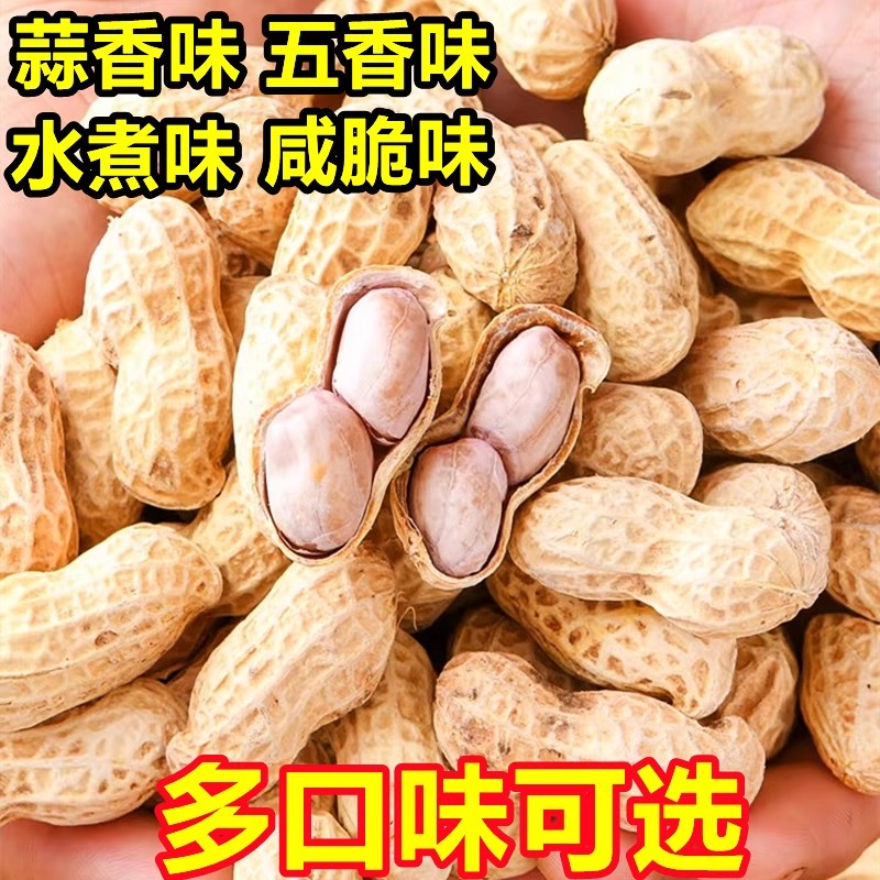 龙岩花生蒜香五香香酥原味白晒咸干水煮湿烤花生米带壳炒货熟年货