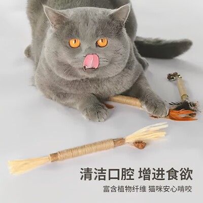 虫瘦果逗猫棒清洁口腔增食欲