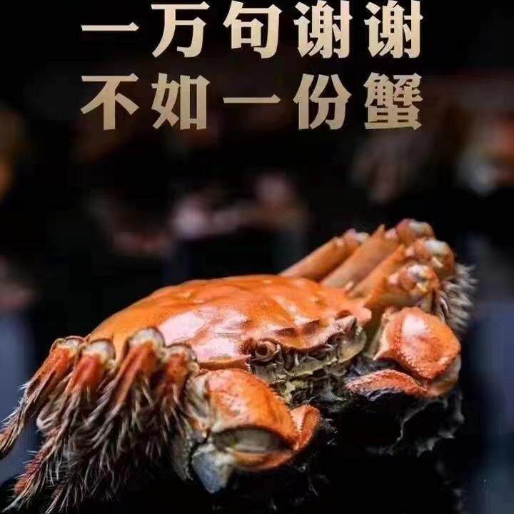 卡易通丨3.5母4.5公阳澄湖鲜活大闸蟹企业团购蟹卡1888型节日送礼
