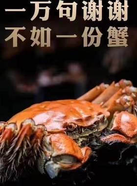卡易通丨3.5母4.5公阳澄湖鲜活大闸蟹企业团购蟹卡1888型节日送礼