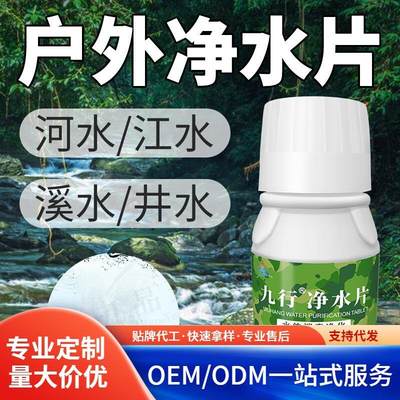 500片二氧化氯野外生活户外河水饮用水净水片消菌杀毒泡腾片去味