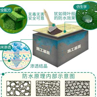 新款不敲瓷砖透明防水剂卫生间厨房室内外墙面堵漏王材料渗透防水