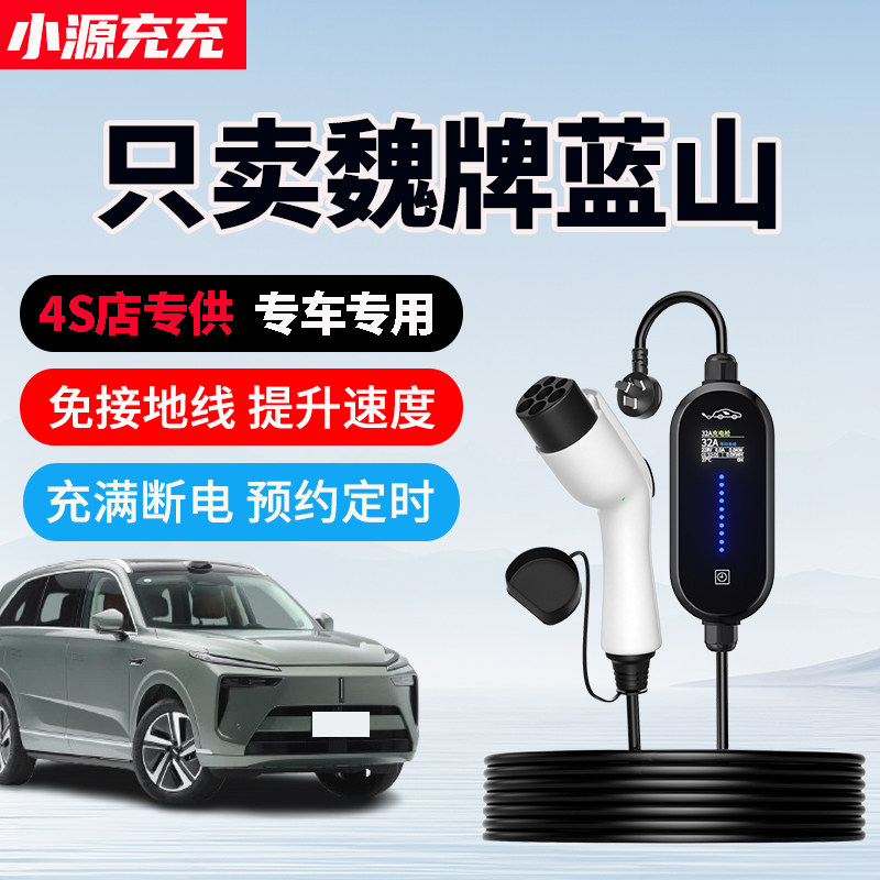 魏牌蓝山专用家用充电枪