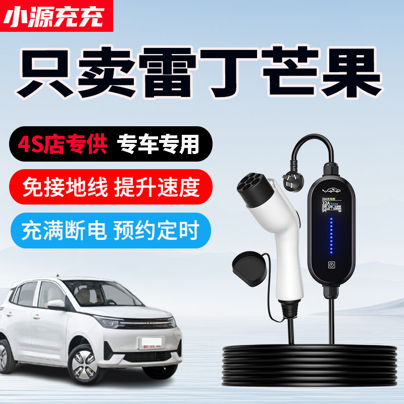雷丁芒果专用家用充电枪