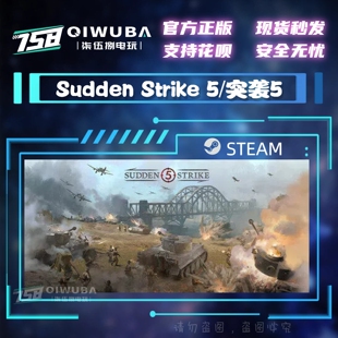 PC中文steam游戏 突袭5 Sudden Strike 5 国区激活码CDK CDKEY