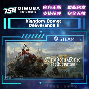 PC中文steam正版国区游戏 天国拯救2 国区激活码CDK CDKEY